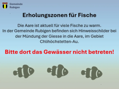 Fische unter Hitzestress – Erholungszonen nicht stören