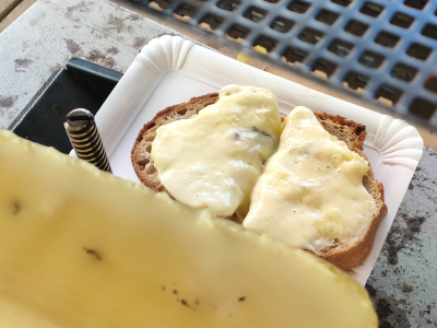 Rückgabe von Tannenbäumen