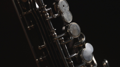 Musizierstunde Klarinette Klasse Denise Schär